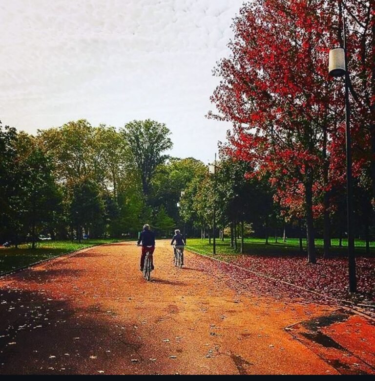 Parc de la Tête d'Or